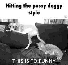 doggy sexy|DoggyStyle Gif: 70+ Super Hot Doggystyle Porn Gifs .